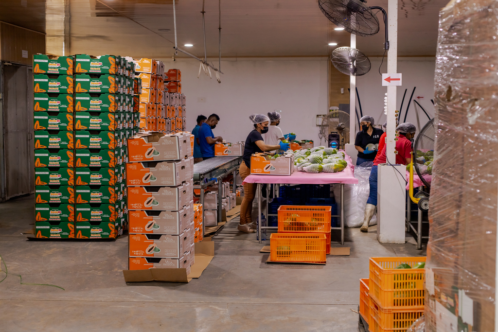 FERIAS INTERNACIONALES PROPORCIONAN UN EXCELENTE TRAMPOLÍN PARA LAS EXPORTACIONES AGRÍCOLAS PANAMEÑAS