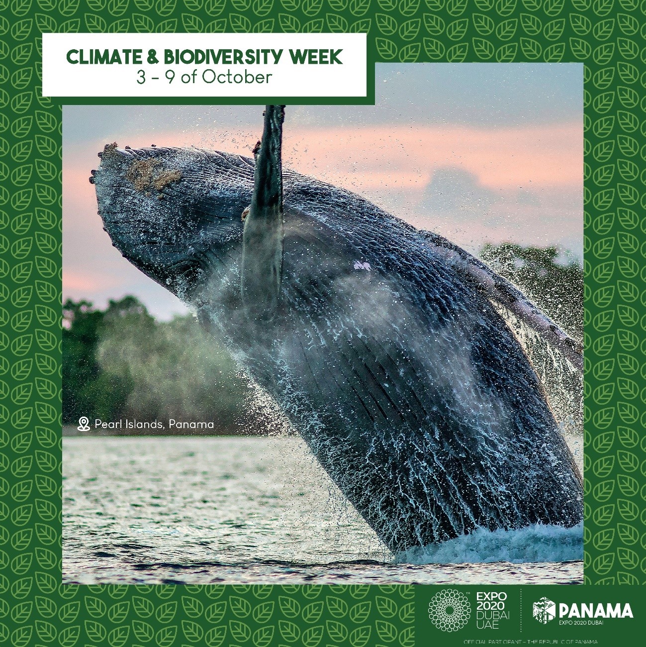 Finaliza la Semana de Clima y Biodiversidad en Expo 2020 Dubái Panamá invita al mundo a continuar el diálogo en Our Ocean 2023.